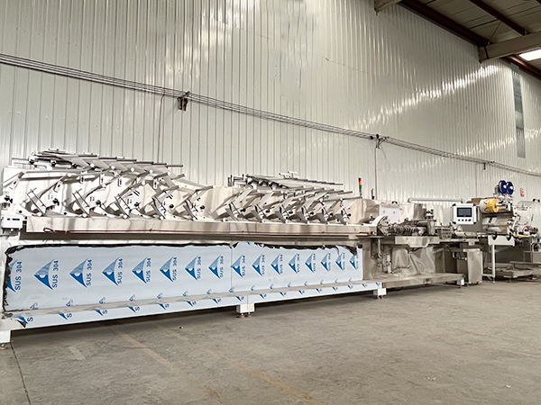 30-120片裝12道背封濕巾機(jī)生產(chǎn)線視頻實拍